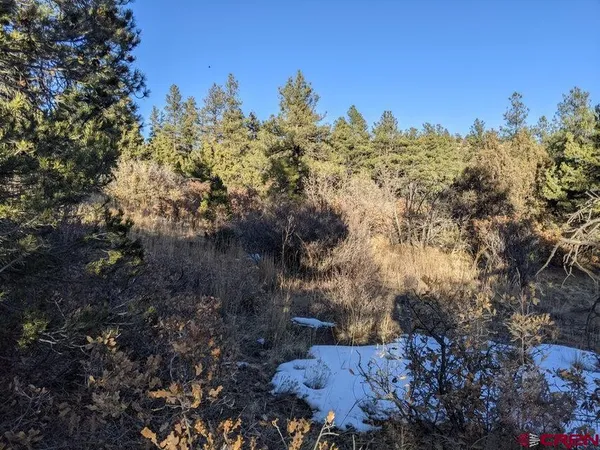 $59,900 | Tbd Tbd Rancho La, Weston, CO 81091