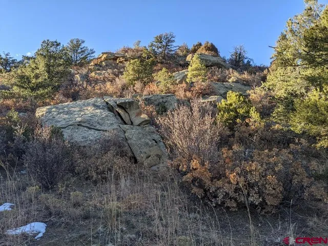 a view of a yard with a tree