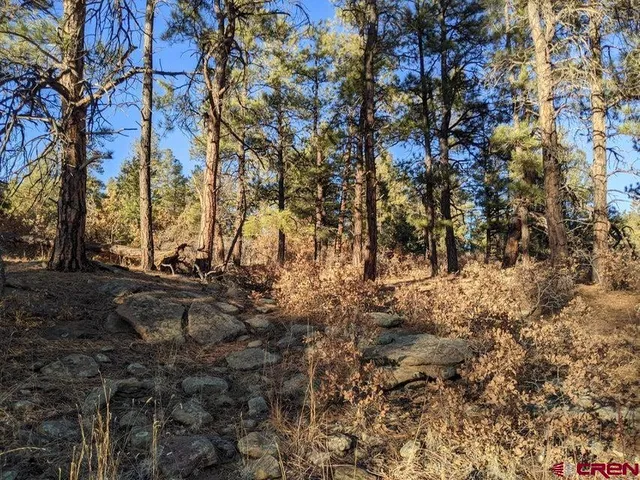 a view of outdoor space and tree