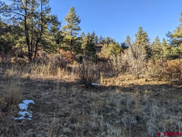 $59,900 | Tbd Tbd Rancho La, Weston, CO 81091