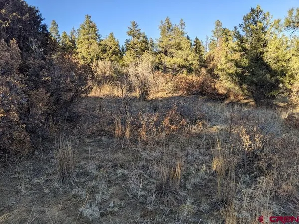 $59,900 | Tbd Tbd Rancho La, Weston, CO 81091