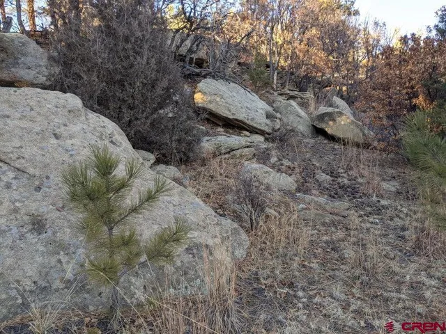 a view of a tennis court