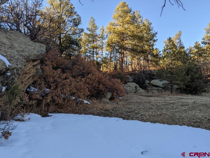 Tbd Tbd Rancho La Weston, CO 81091 - Photo 26 of 28