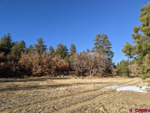 $65,000 | Tbd Tbd Rancho La, Weston, CO 81091