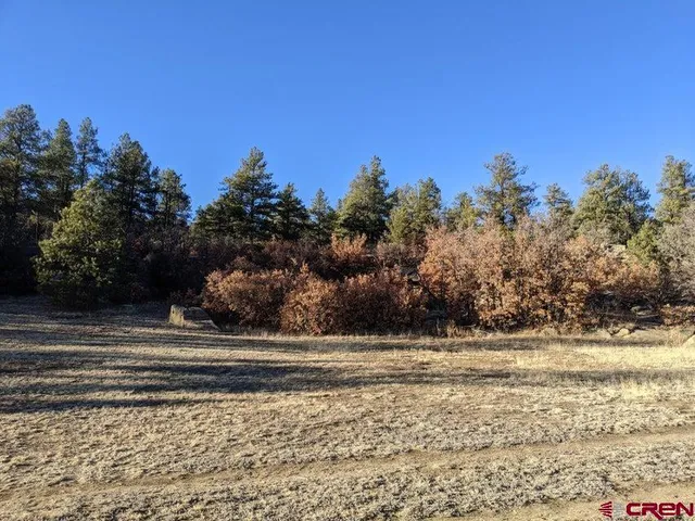 $65,000 | Tbd Tbd Rancho La, Weston, CO 81091