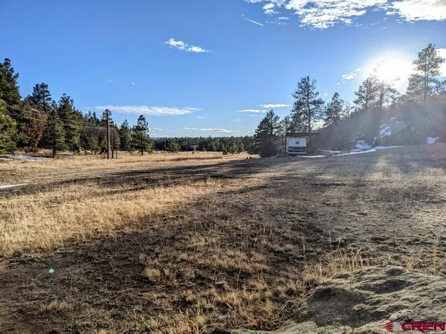 a view of a yard with a house