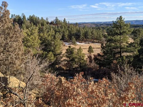 a view of a yard with trees in the background