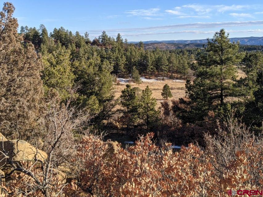 Tbd Tbd Rancho La Weston, CO 81091 - Photo 9 of 28
