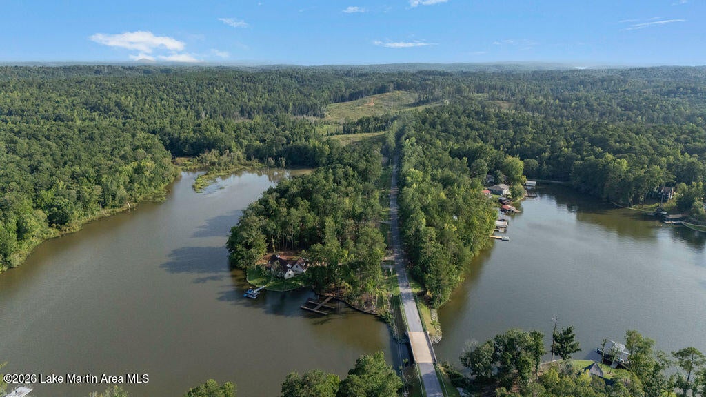 1392 Sturdivant Road Jacksons Gap, AL 36861 - Photo 10 of 18 Gallery Image 10