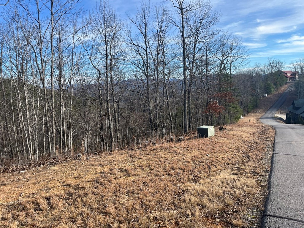 Lot 14 Patriot Ridge Murphy, NC 28906 - Photo 4 of 25