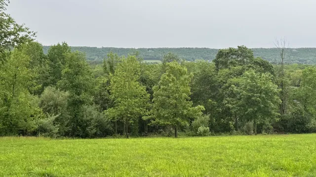 a view of a grassy field