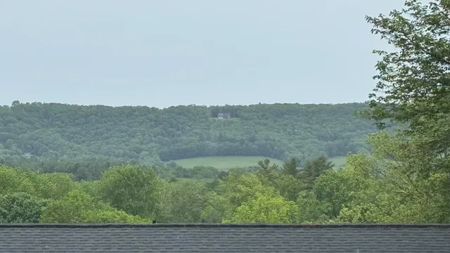 a view of a field of grass and trees