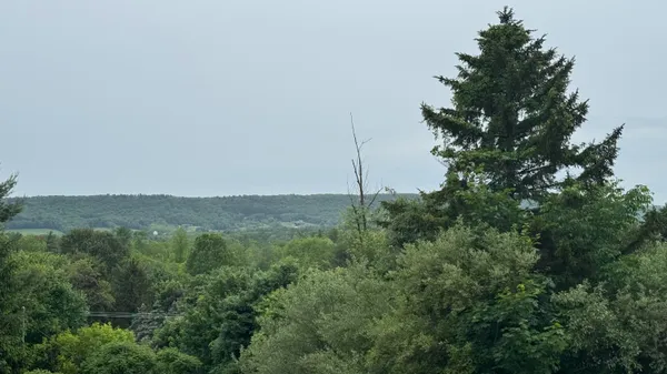a view of a field with a tree in the background