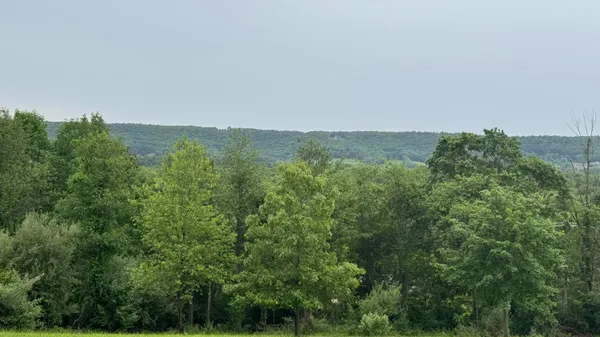 an aerial view of mountain with trees in the background