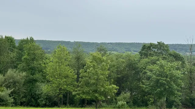 an aerial view of mountain with trees in the background