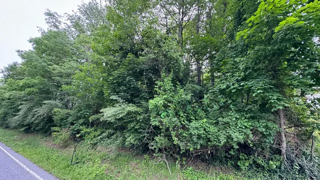an aerial view of residential house with outdoor space and trees all around