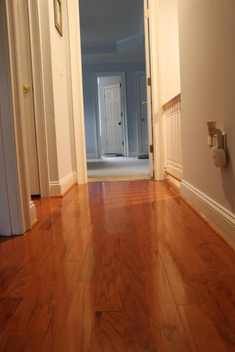 661 Fair Spring Drive Charleston, SC 29414 - Photo 44 of 61 IMG_9001