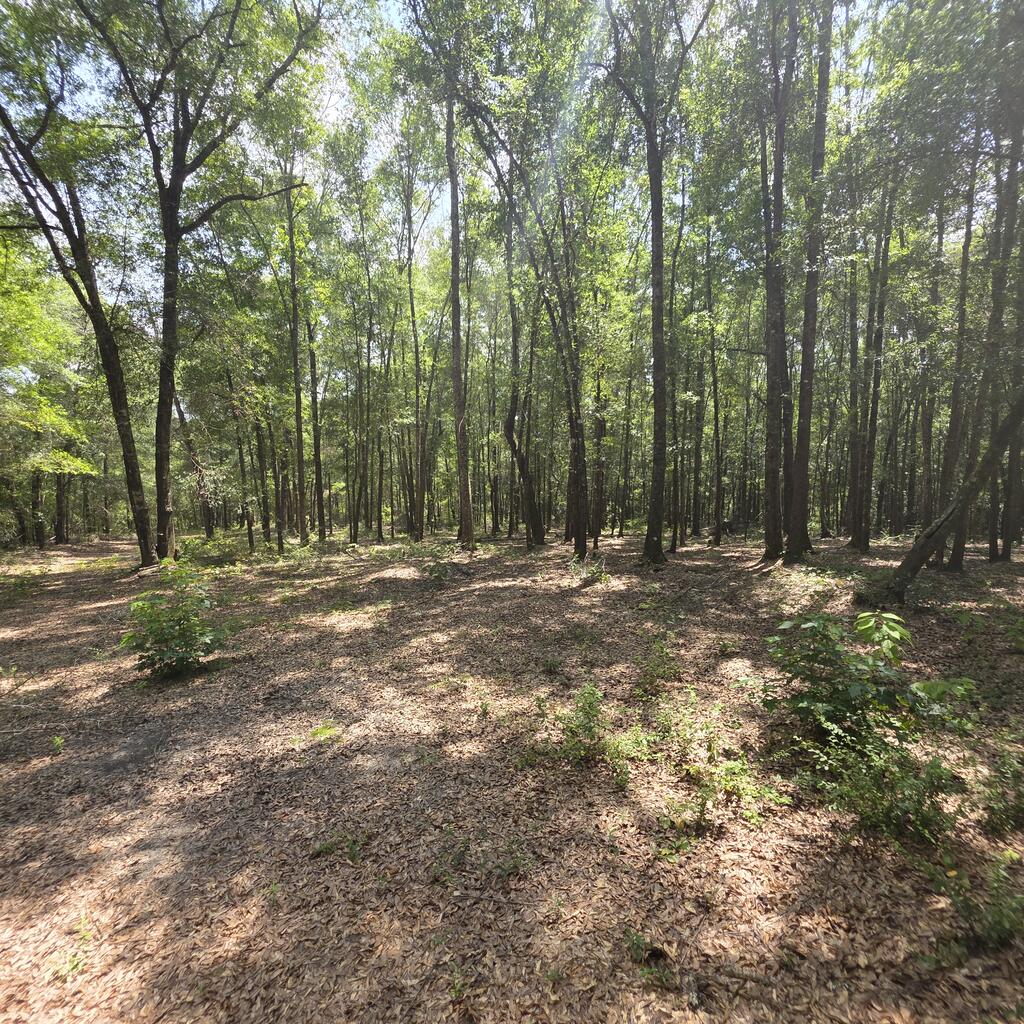 0 Grimes Road Ozark, AL 36360 - Photo 15 of 16 Gallery Image 15