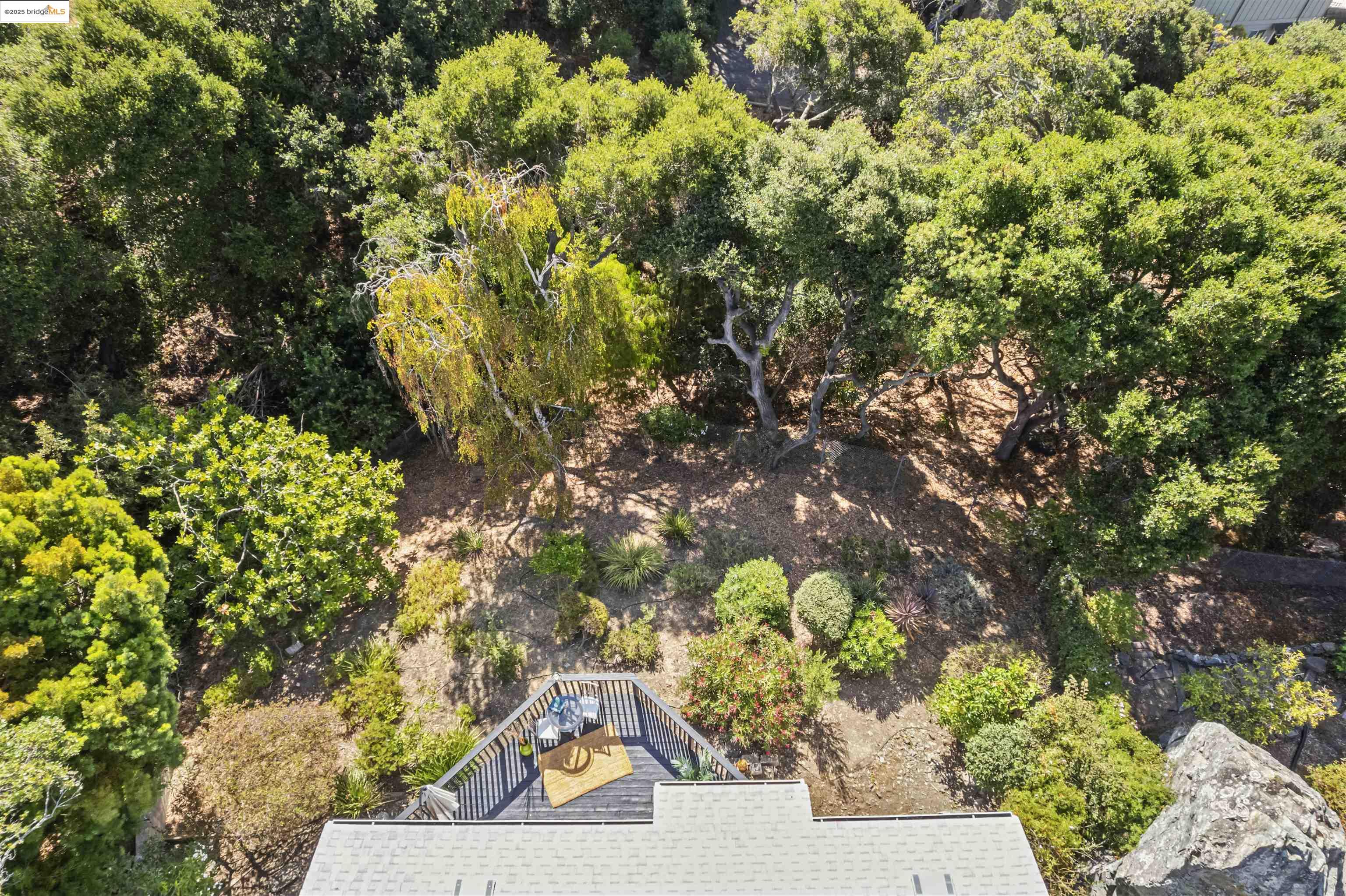 7318 Gladys Avenue El Cerrito, CA 94530 - Photo 16 of 33 a view of a yard with plants