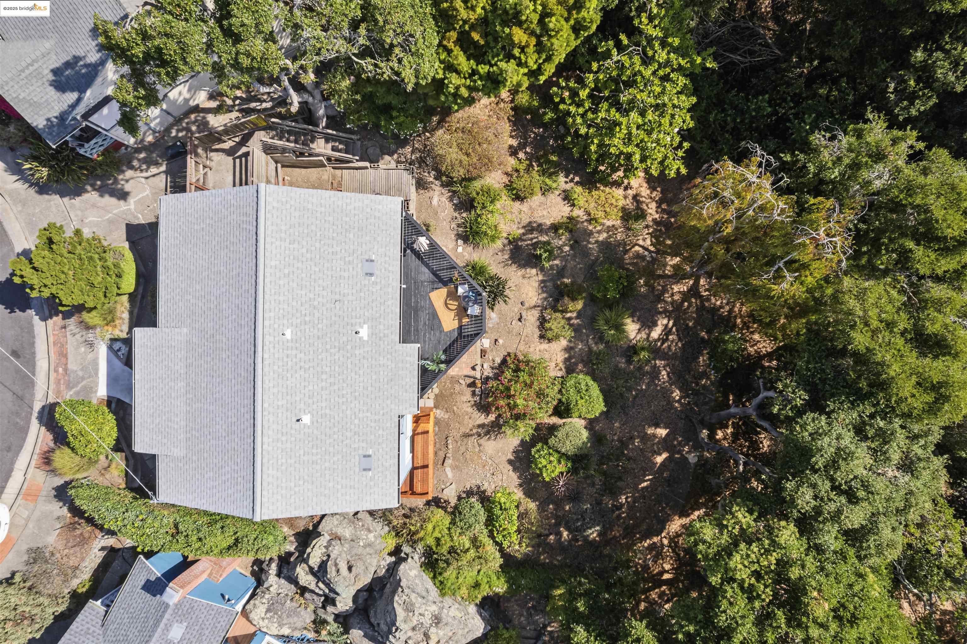 7318 Gladys Avenue El Cerrito, CA 94530 - Photo 28 of 33 a picture of a tree