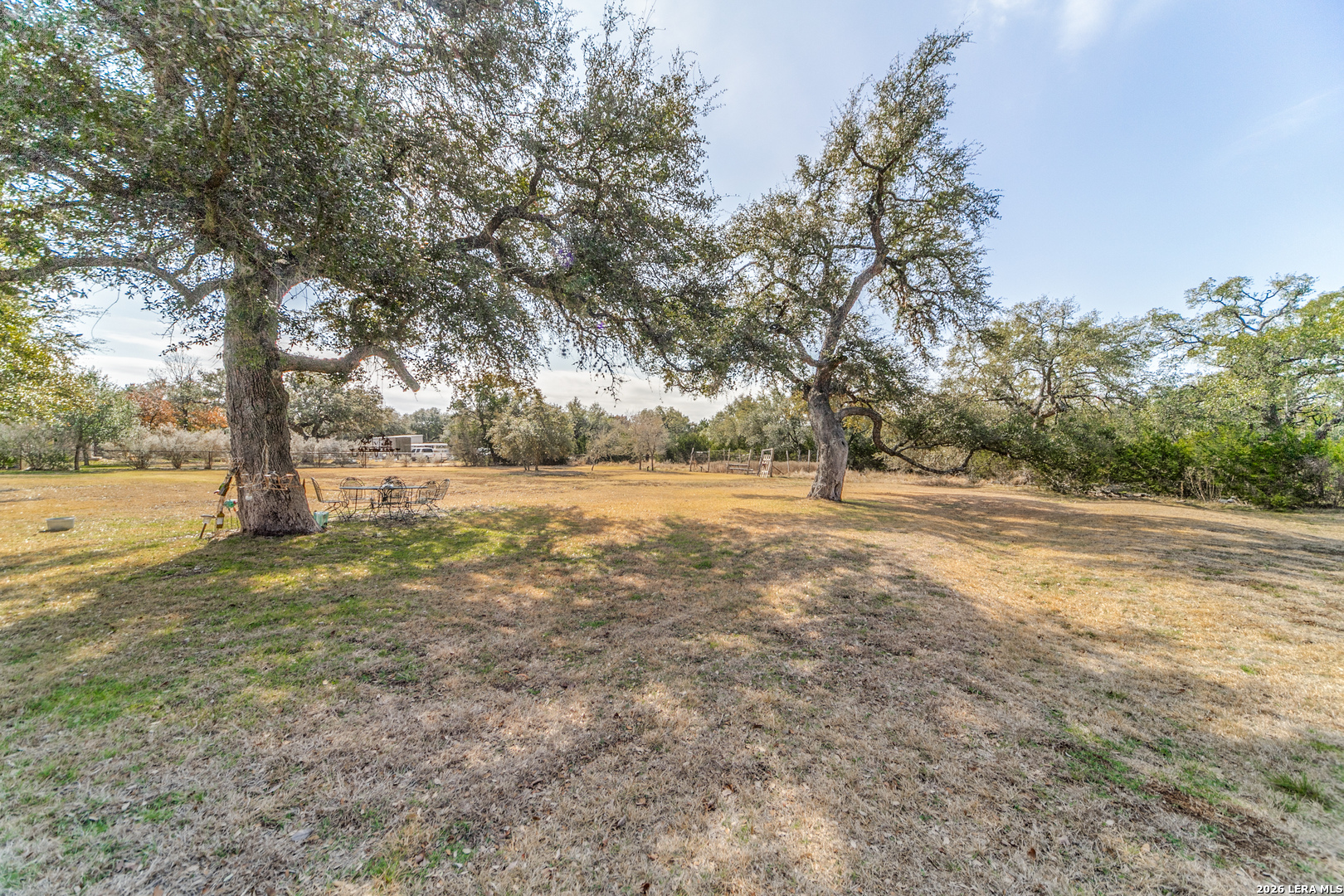 1119 Indigo Run Bulverde, TX 78163 - Photo 24 of 25