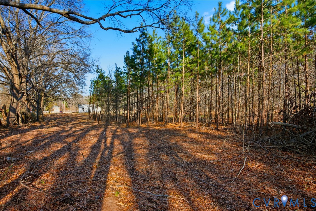 1675 Meadow Road Sandston, VA 23150 - Photo 13 of 22 a view of yard with tree and green space