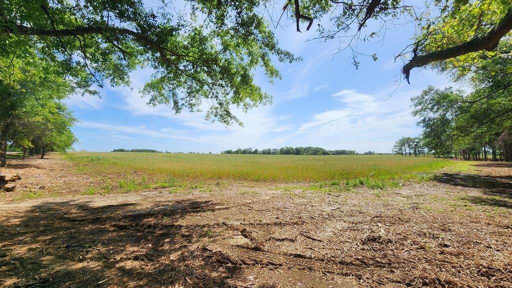 92 County Road 92 Slocomb, AL 36375 - Photo 6 of 58