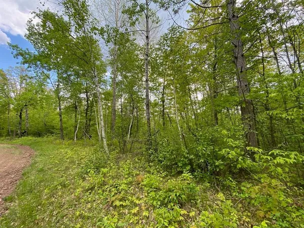 $99,900 | Lot 9 Hustvet, Trego, WI 54888