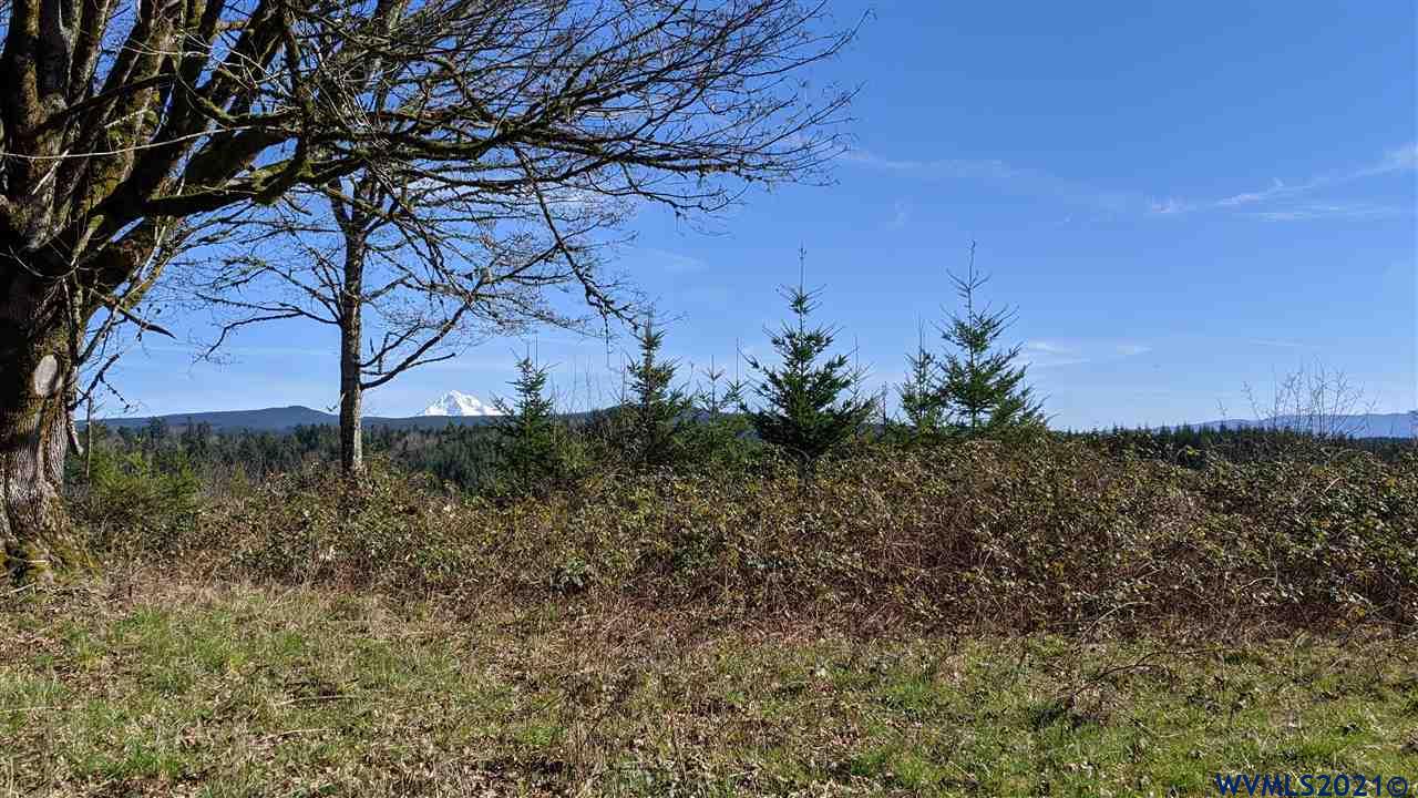 Southeast Loudon (lot 700) Road Corbett, OR 97019 - Photo 4 of 5