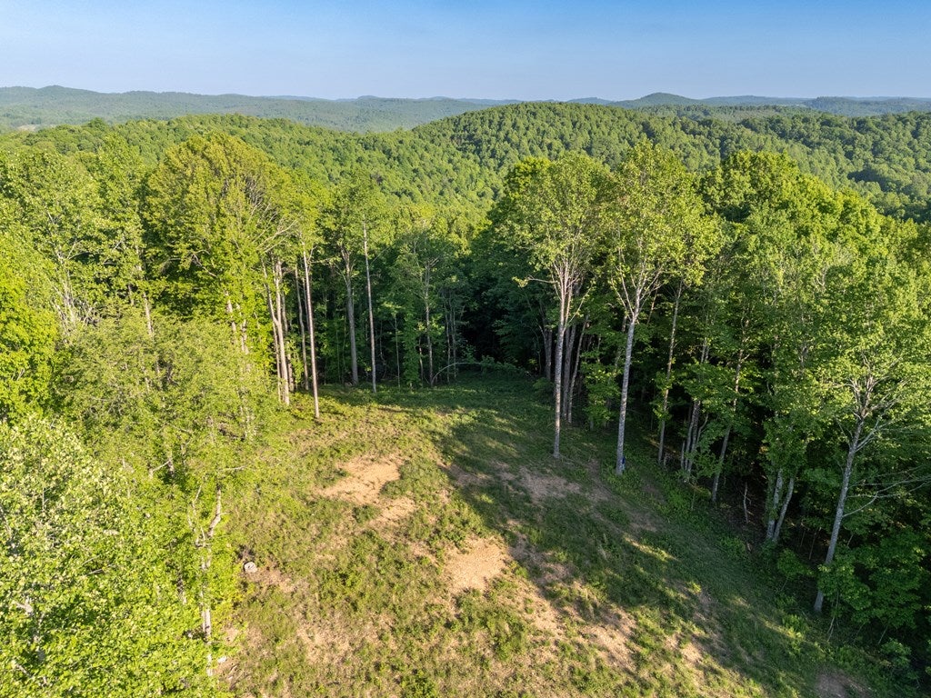 65-ac Dugspur Road, Unit 18 Dugspur, VA 24325 - Photo 21 of 68 Gallery Image 21