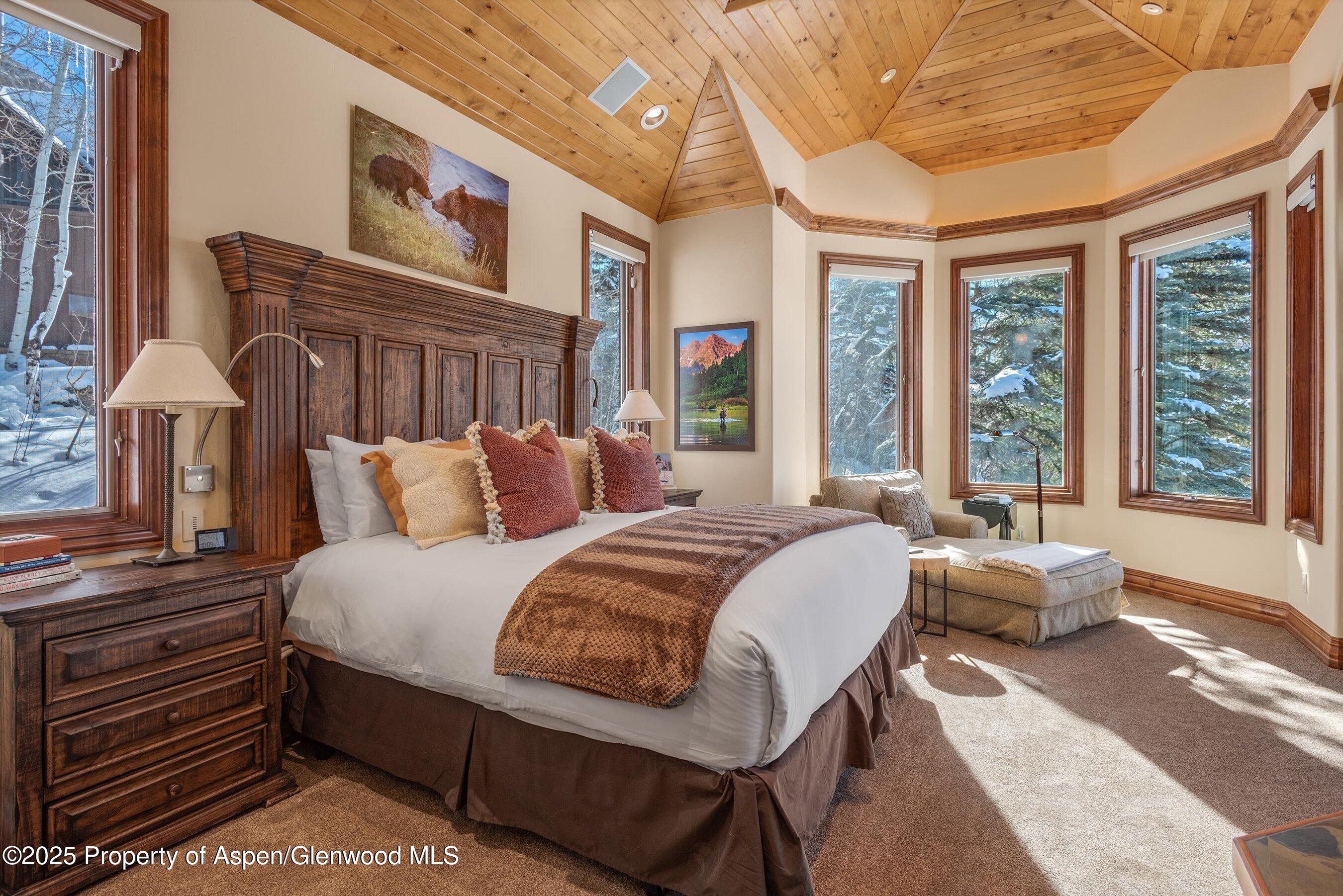 427 Silverlode Drive Aspen, CO 81611 - Photo 11 of 35 29-427Silverlode_2502190030