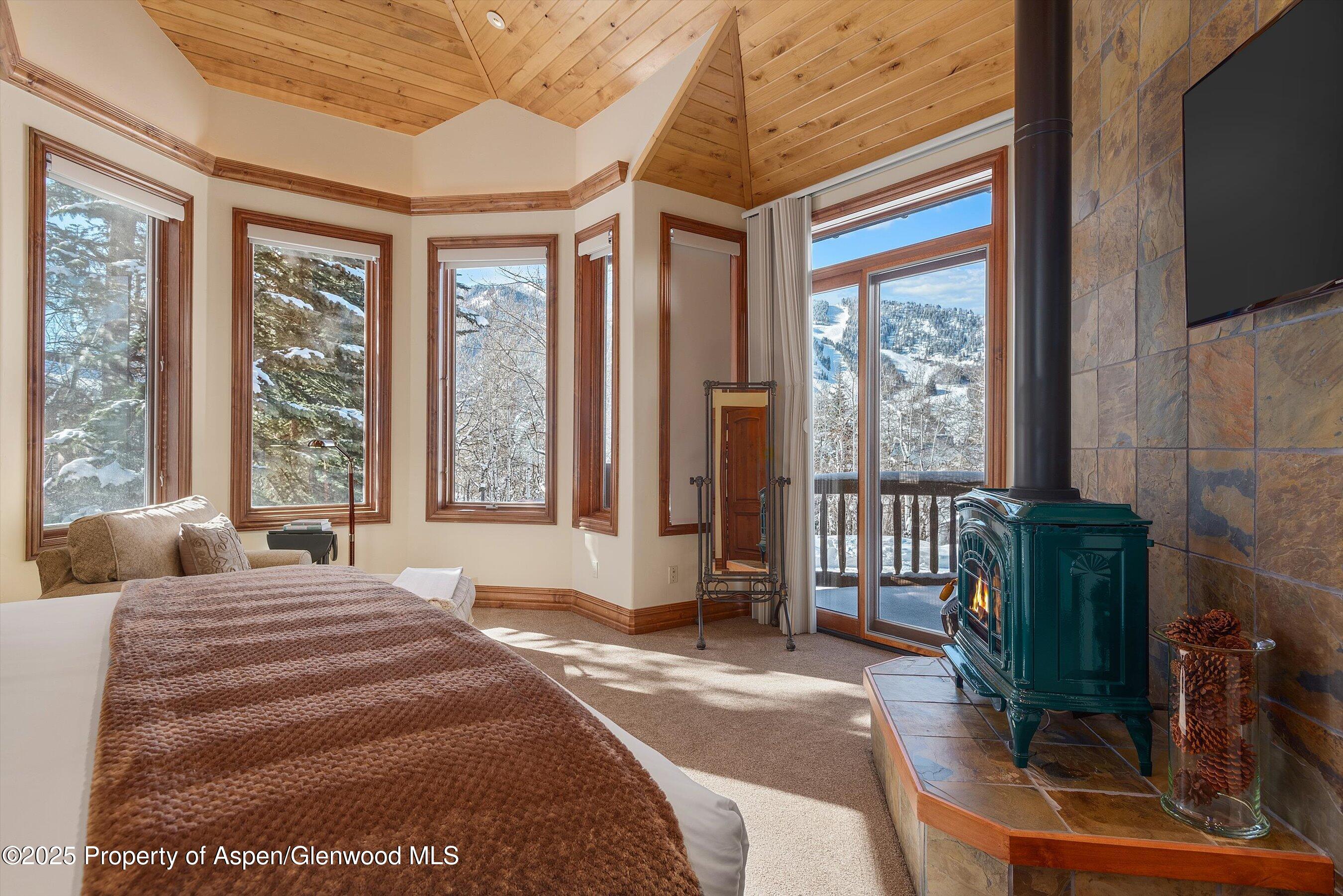 427 Silverlode Drive Aspen, CO 81611 - Photo 12 of 35 30-427Silverlode_2502190031