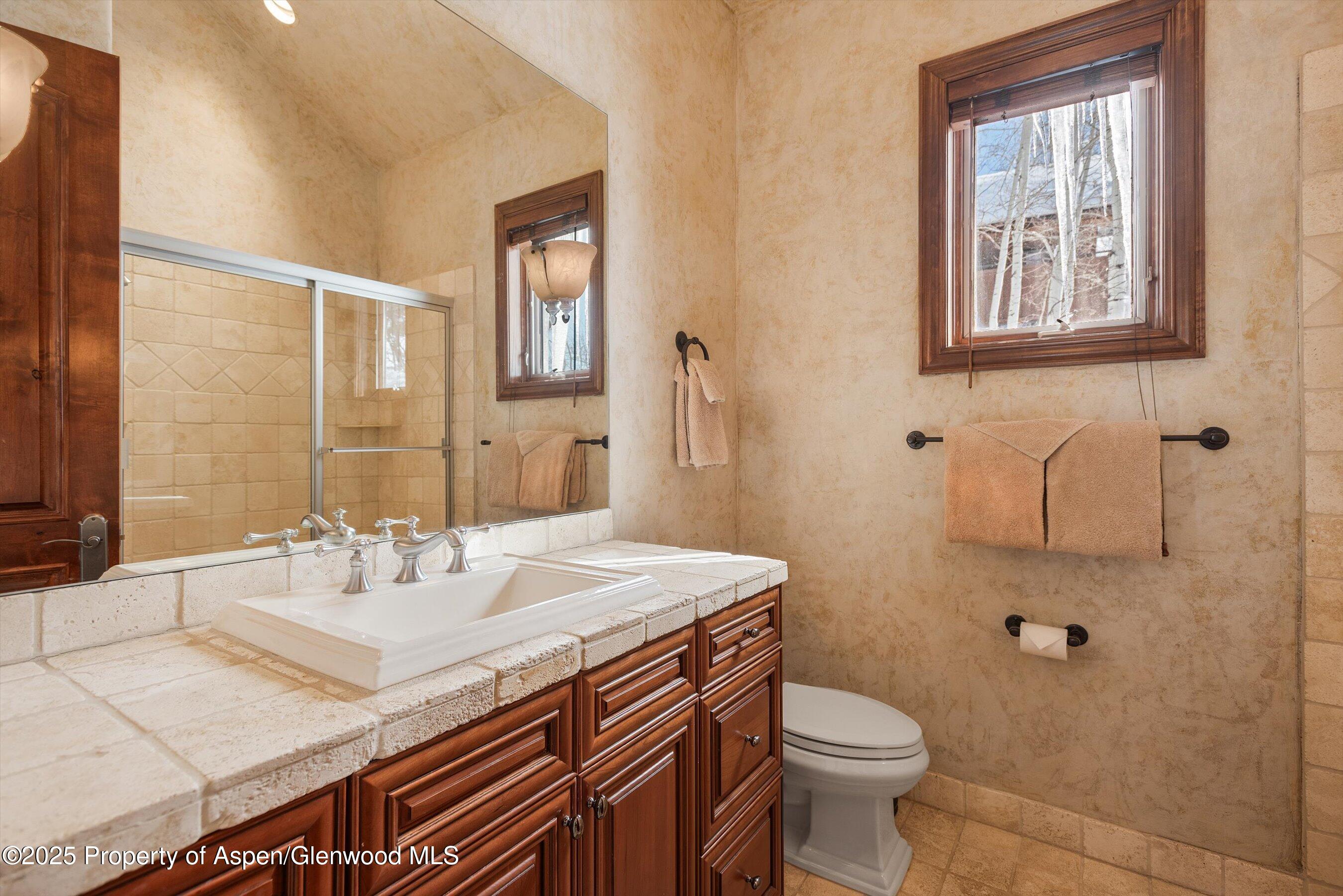 427 Silverlode Drive Aspen, CO 81611 - Photo 17 of 35 43-427Silverlode_2502190046