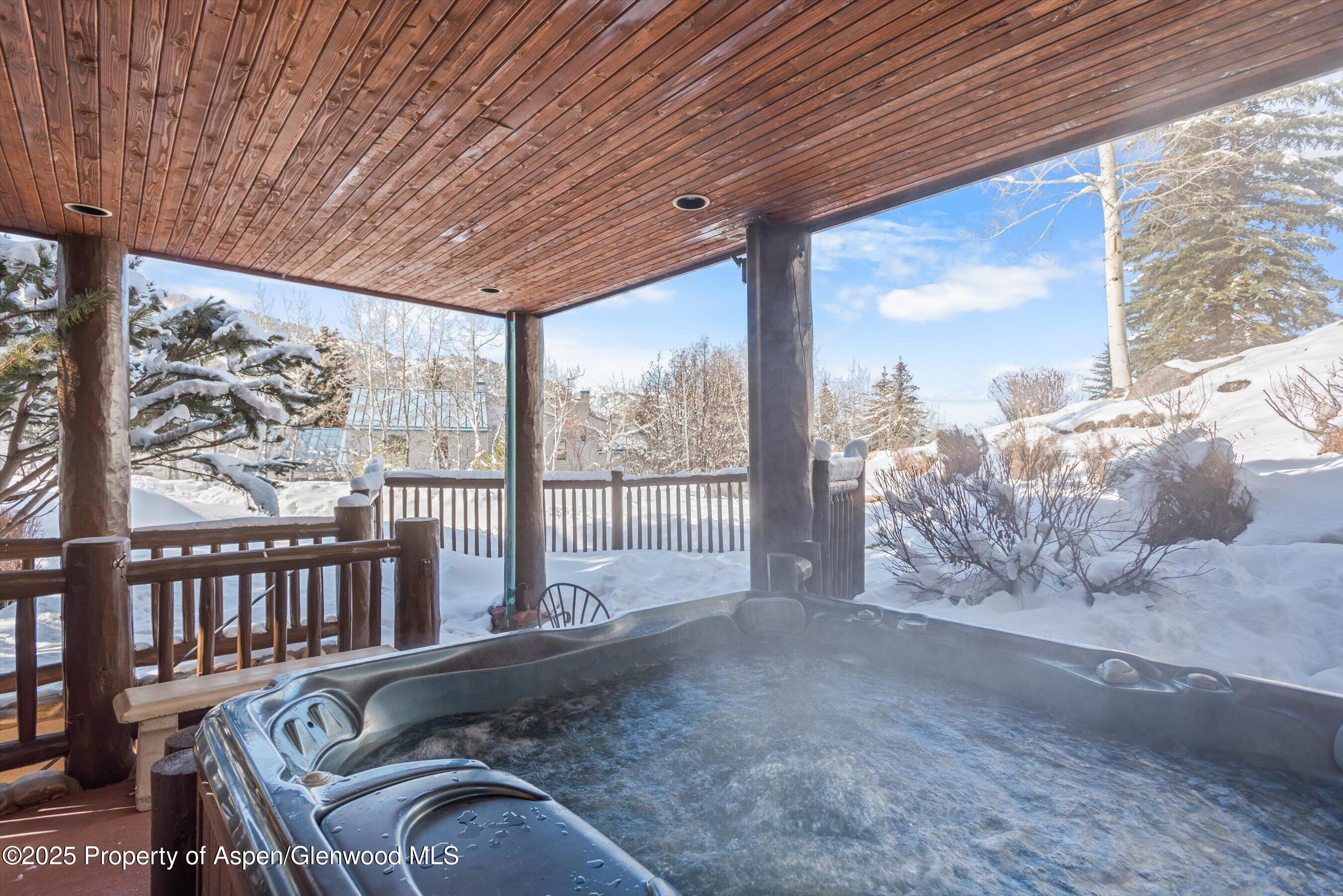 427 Silverlode Drive Aspen, CO 81611 - Photo 29 of 35 41-427Silverlode_2502190044