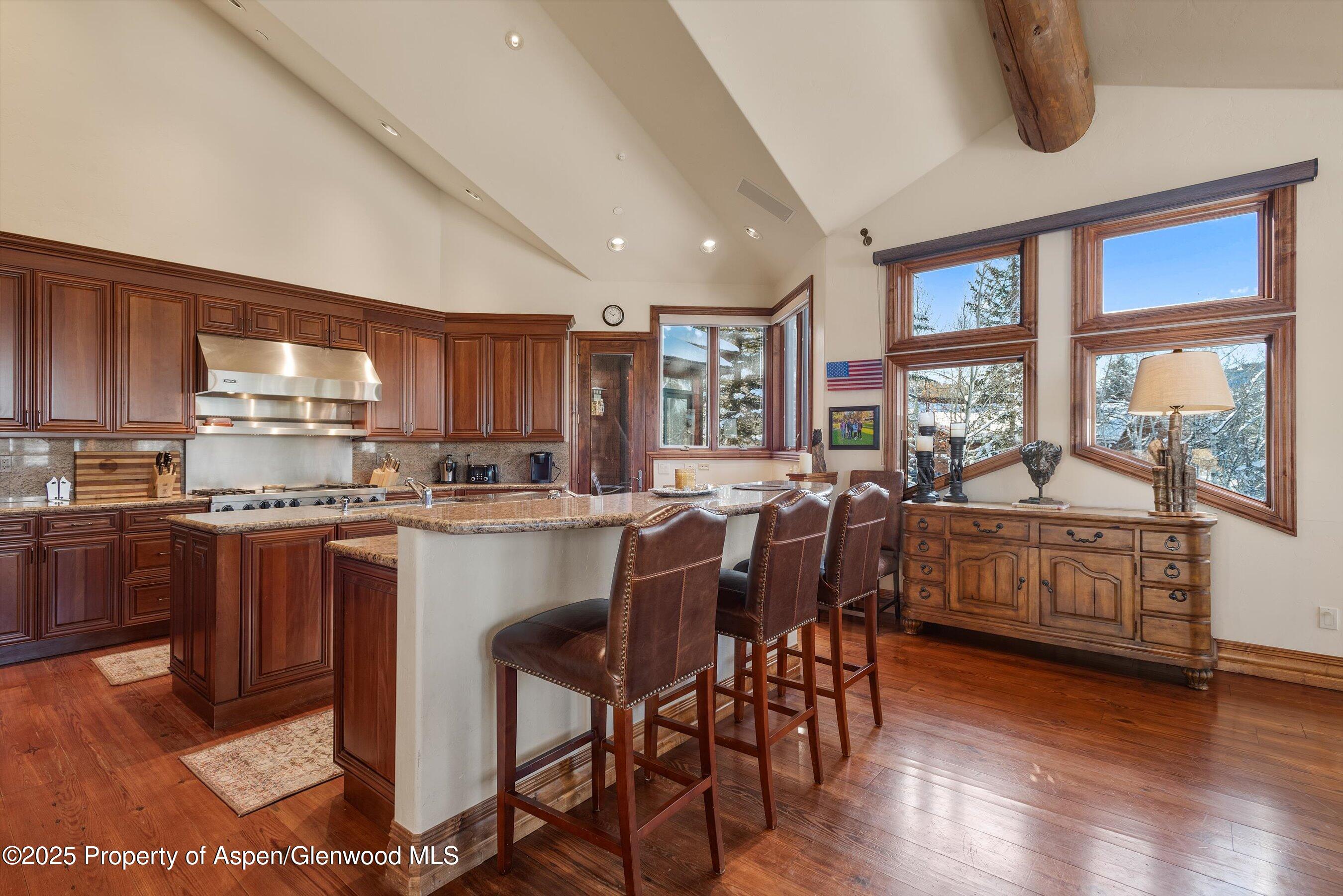 427 Silverlode Drive Aspen, CO 81611 - Photo 9 of 35 22-427Silverlode_2502190023