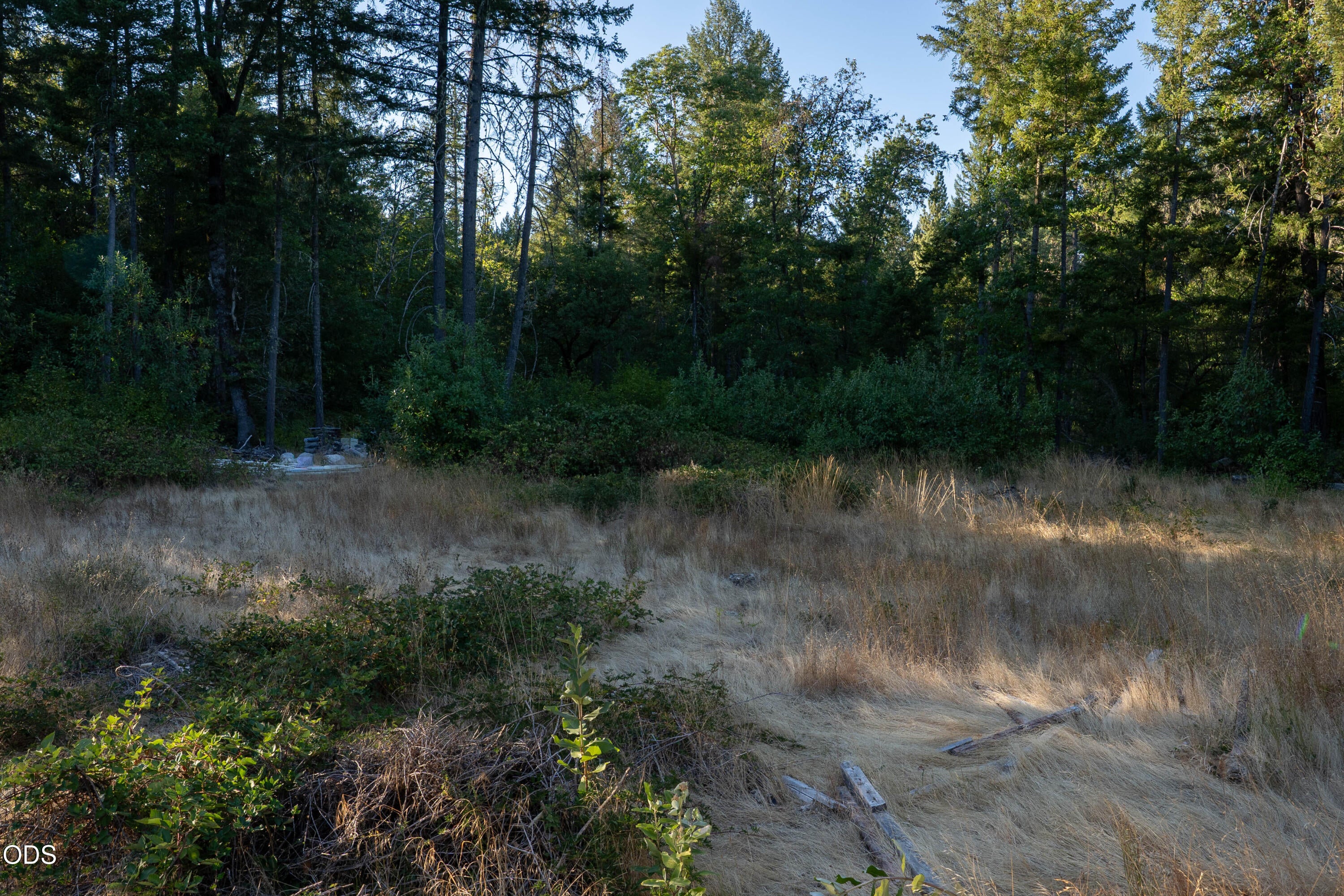 709 Pinewood Way Cave Junction, OR 97523 - Photo 23 of 27 Gallery Image 23