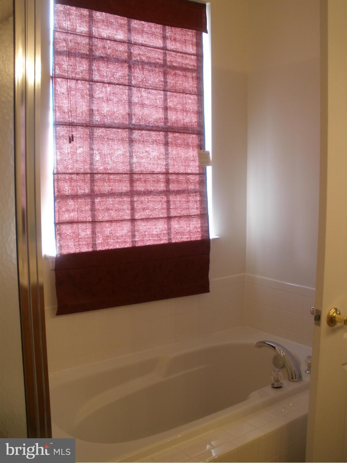 617 Hunters Road Culpeper, VA 22701 - Photo 11 of 22 Bath (Master)