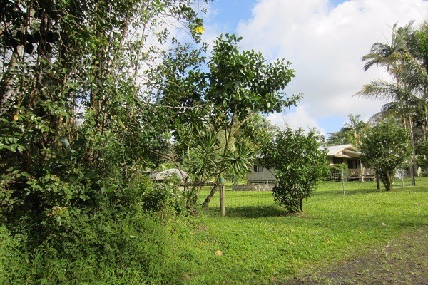 1082 Mayzee Road Pahoa, HI 96778 - Photo 12 of 25 Gallery Image 12