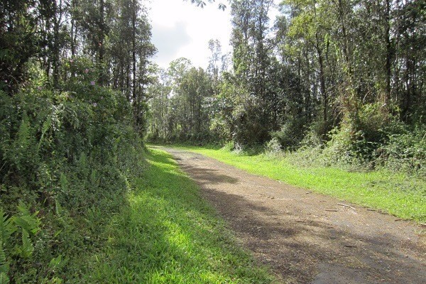 1082 Mayzee Road Pahoa, HI 96778 - Photo 17 of 25 Gallery Image 17