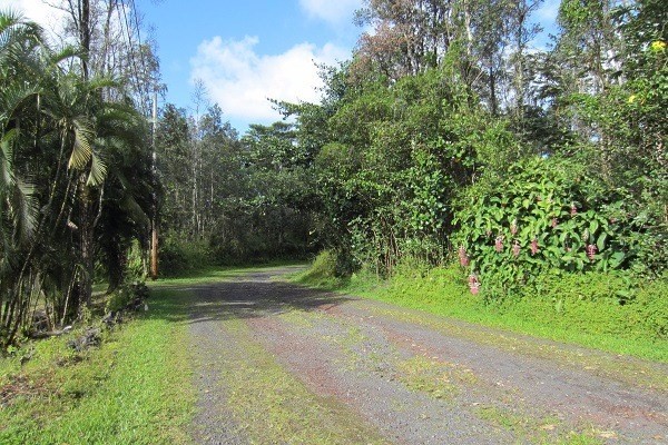 1082 Mayzee Road Pahoa, HI 96778 - Photo 5 of 25 Gallery Image 5