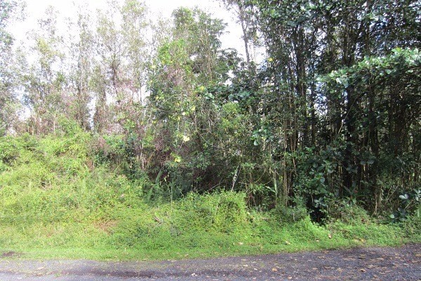 1082 Mayzee Road Pahoa, HI 96778 - Photo 8 of 25 Gallery Image 8