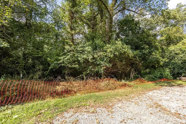 a view of a yard with trees