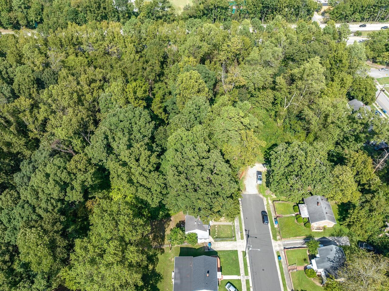 600 Bernice Street Durham, NC 27701 - Photo 6 of 11 a view of yard