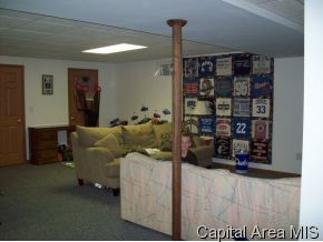 724 Countryside Road Arenzville, IL 62611 - Photo 8 of 12