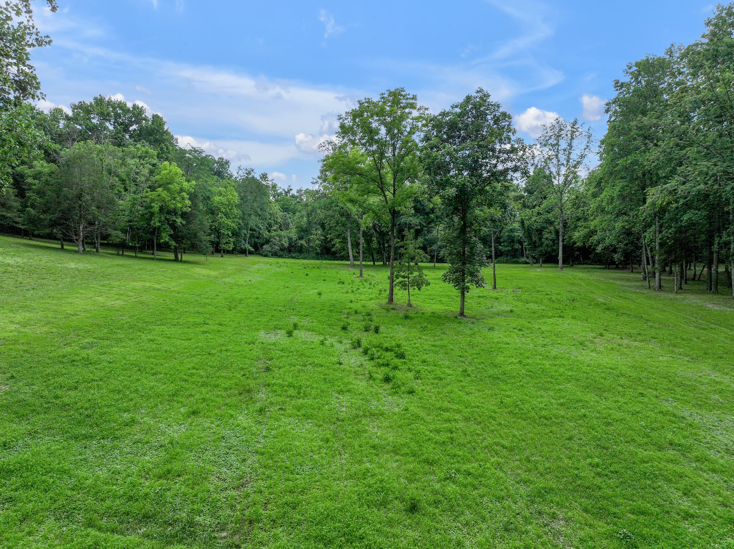 231 Fintville Road Versailles, KY 40383 - Photo 8 of 34 DJI_20260630065316_0582_D