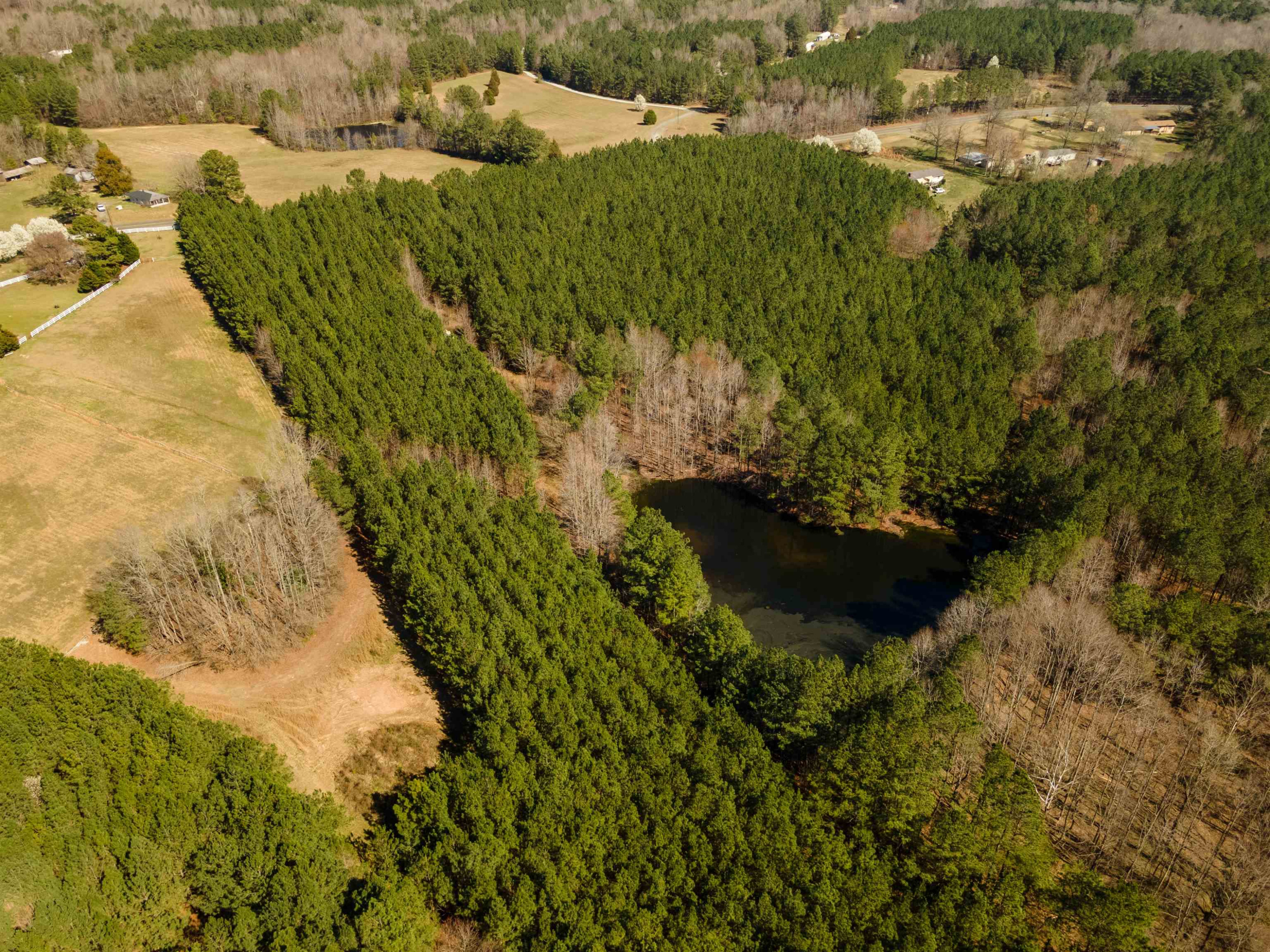 2 Cash Road Creedmoor, NC 27522 - Photo 9 of 22 Photo 9