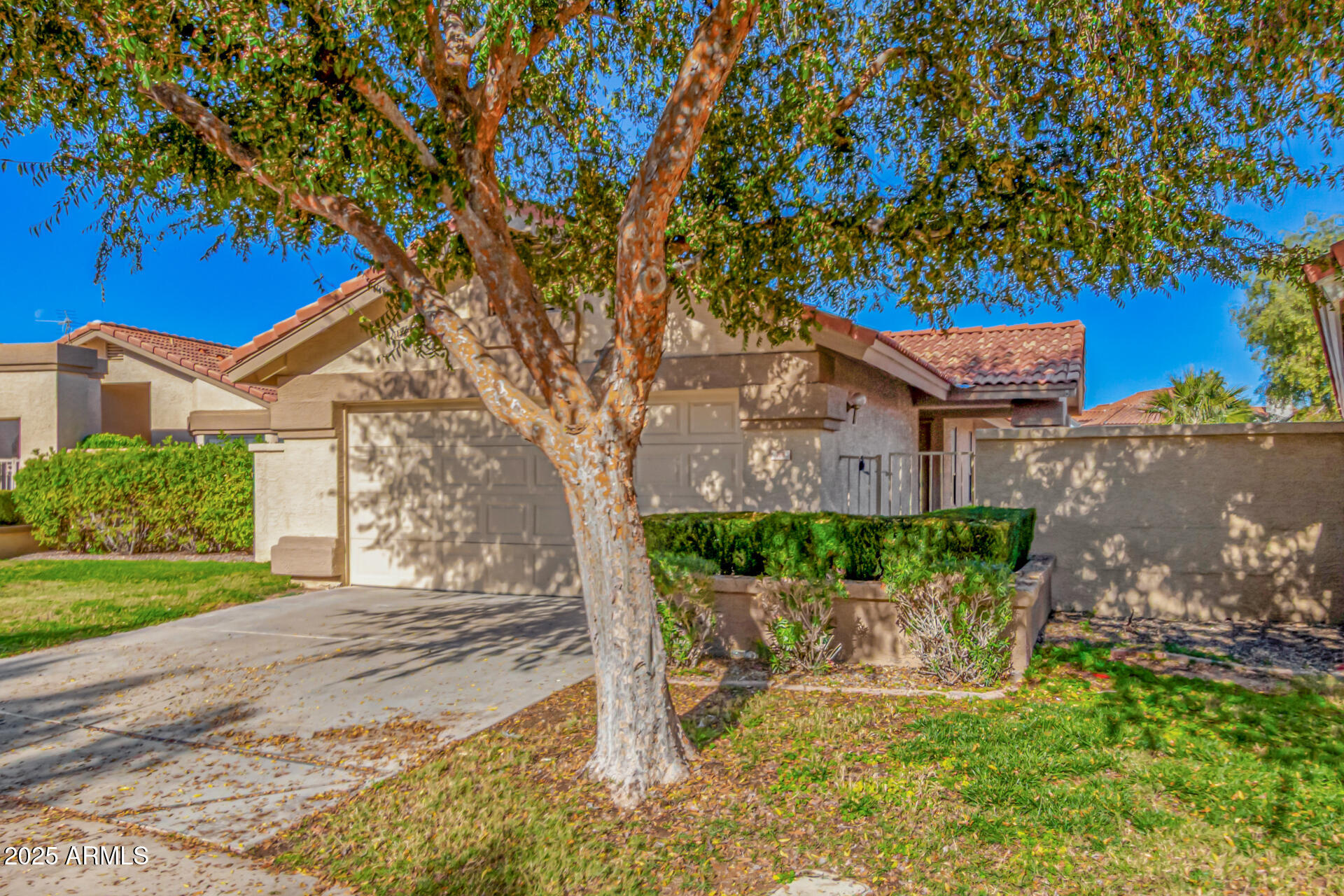 768 South Martinique Drive Gilbert, AZ 85233 - Photo 2 of 27 a backyard of a house with a garden and outdoor seating