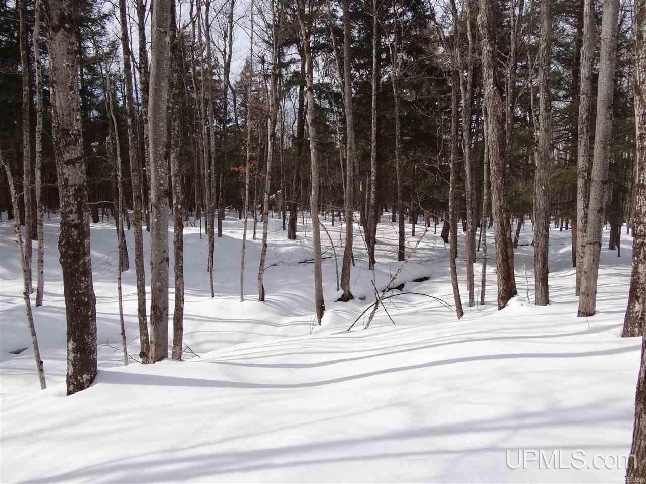Tbd Dogpatch Road, Unit LOT J Lanse, MI 49946 - Photo 12 of 16