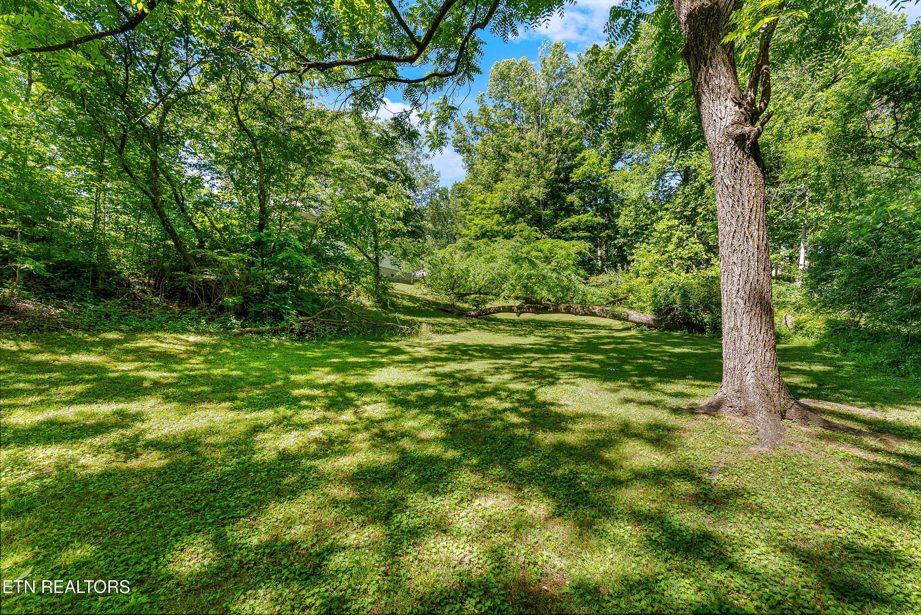 103 Loyola Lane Oak Ridge, TN 37830 - Photo 33 of 36 34-Backyard A4