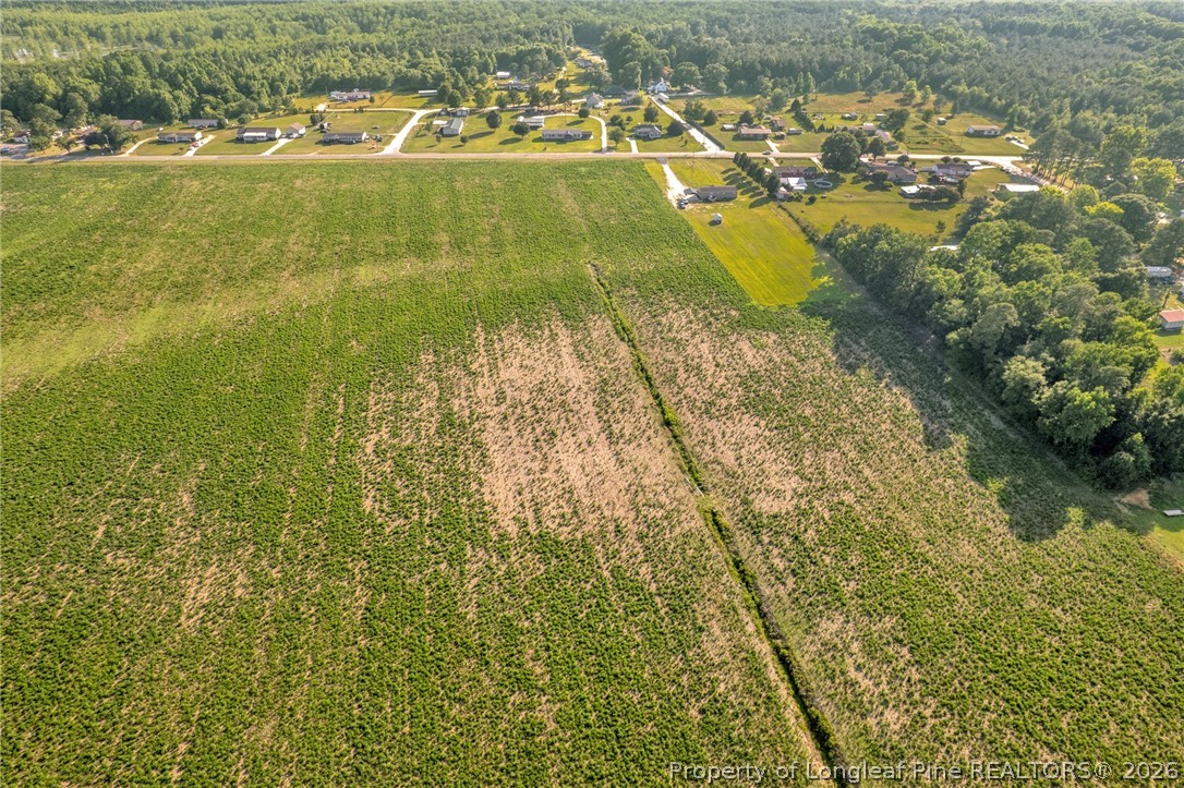 0 Old Wire (lot 11) Road Shannon, NC 28386 - Photo 9 of 17